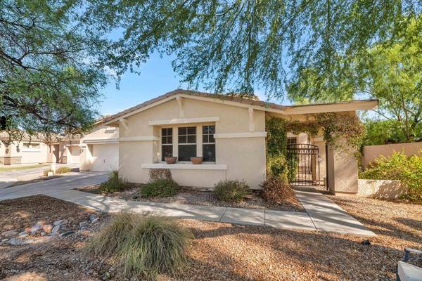 Chandler, AZ 85286,3244 E CARDINAL Court