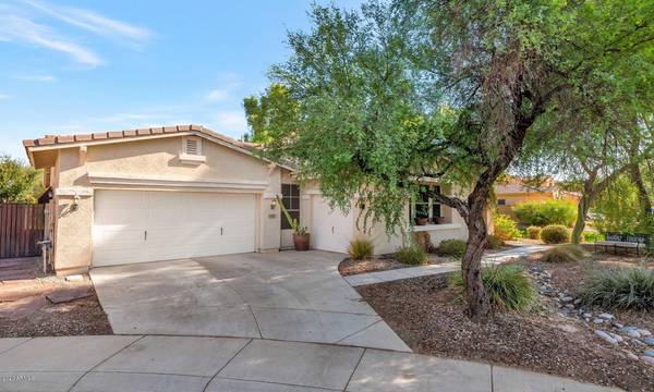 Chandler, AZ 85286,3244 E CARDINAL Court