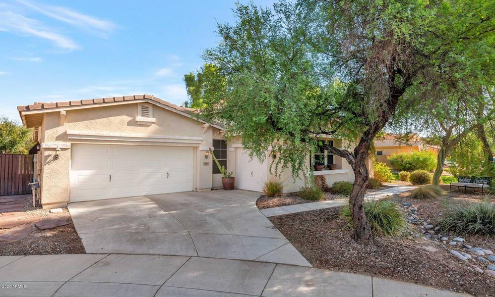 3244 E CARDINAL Court, Chandler, AZ 85286