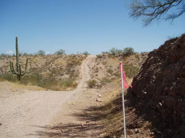 29701 W Ashler Hills Drive #196, Unincorporated County, AZ 85361