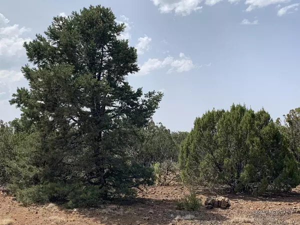 Concho, AZ 85924,80 Co Rd 8056 -- #-