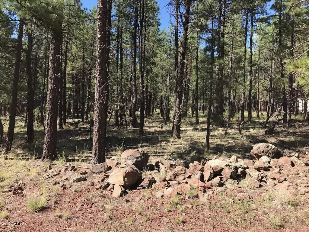 Williams, AZ 86046,7401 E ROBIN HOOD Road #264