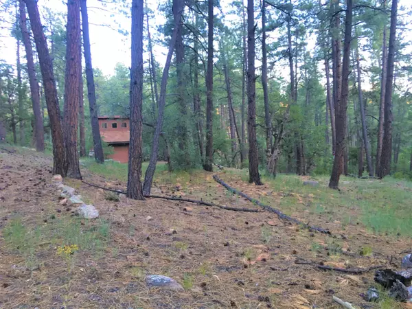 23617 S DEMASCUS Road #-, Crown King, AZ 86343