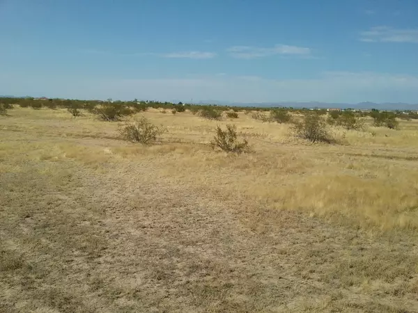 Wittmann, AZ 85361,24000 W Jomax Road #-