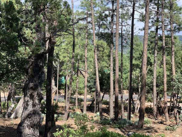 Pine, AZ 85544,4370 N Strawberry Hollow Drive #37