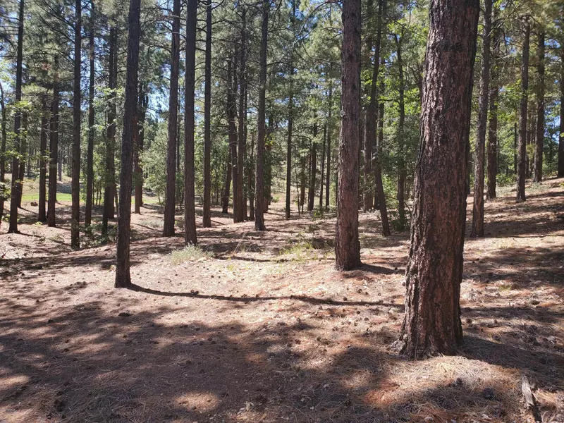 3525 W Picket Line --, Flagstaff, AZ 86005