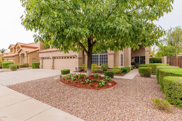 Gilbert, AZ 85296,1478 E HORSESHOE Avenue