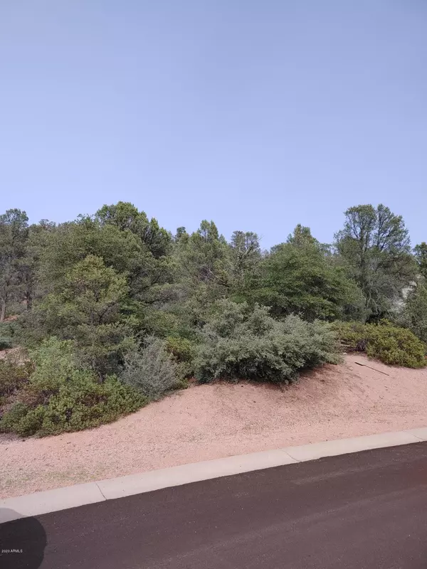 Payson, AZ 85541,924 W Sherwood Drive #317