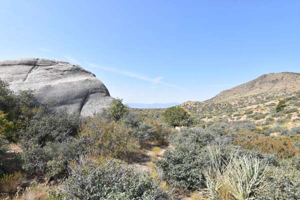 Wikieup, AZ 85360,442 Cowboy Hat Road #-