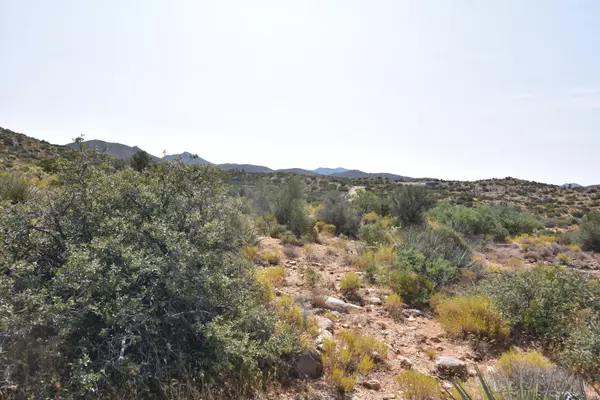 Wikieup, AZ 85360,40 Olo Pass Road #34e