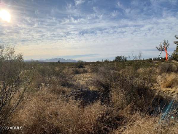 Wittmann, AZ 85361,292 W Radford Road #110