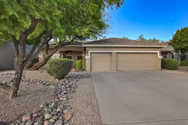 1003 S Western Skies Drive, Gilbert, AZ 85296