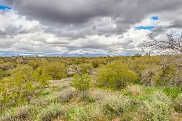 Scottsdale, AZ 85266,86 E VIA DONA Road #--