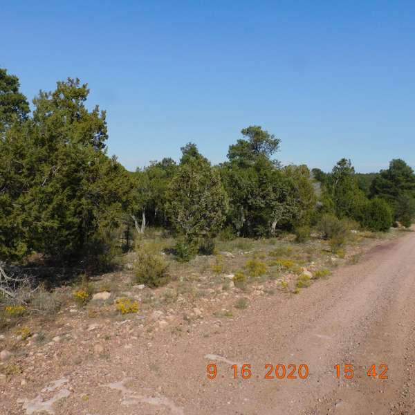 Overgaard, AZ 85933,3154 TRAIL END -- #371