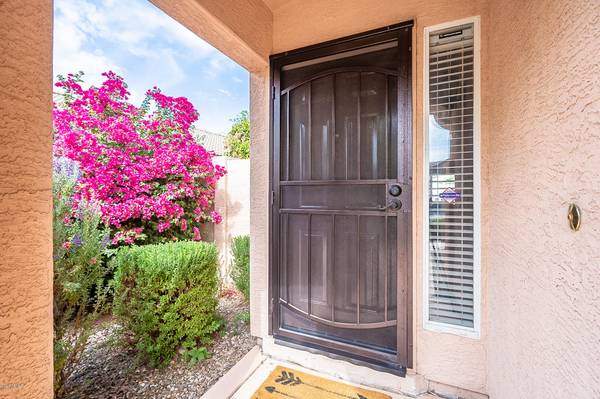 Peoria, AZ 85382,8030 W SALTER Drive