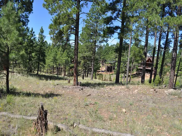 Flagstaff, AZ 86005,2509 S Pinyon Jay Drive