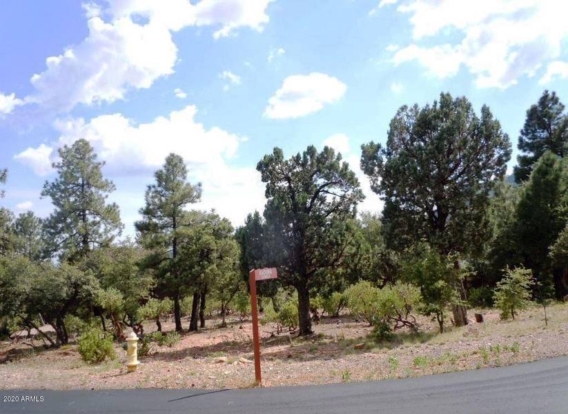 6737 W (96) Kachina Cir -- #96, Pine, AZ 85544