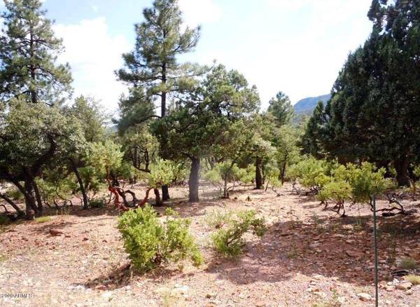 Pine, AZ 85544,6737 W (96) Kachina Cir -- #96