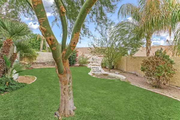 Chandler, AZ 85248,3335 S HOLLY Court