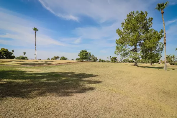 Sun City West, AZ 85375,12907 W PAINTBRUSH Drive
