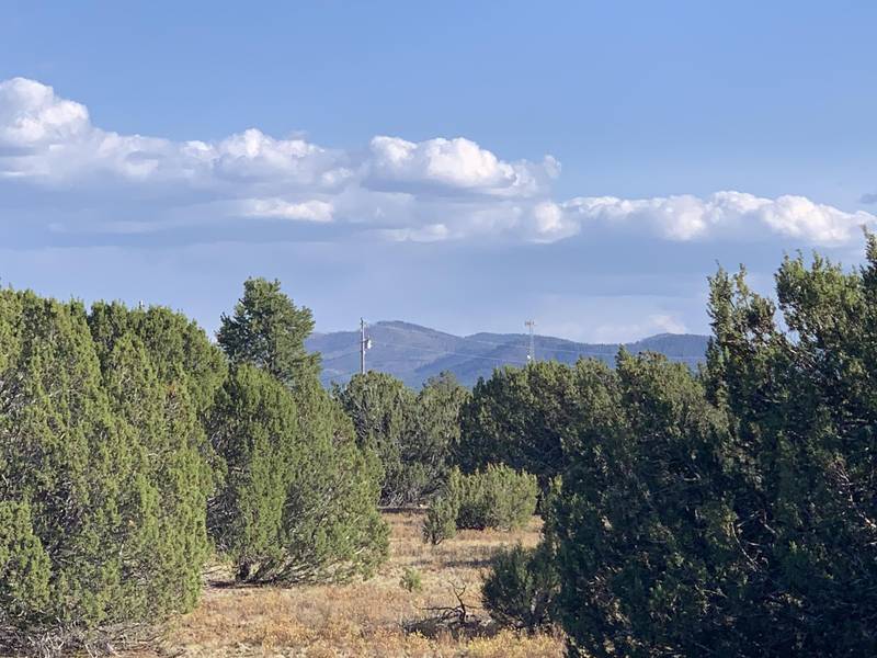 174 Co Rd 3187B -- #-, Vernon, AZ 85940