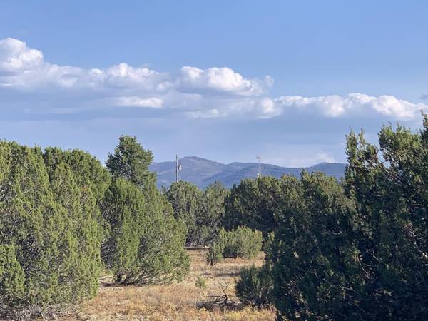 Vernon, AZ 85940,174 Co Rd 3187B -- #-