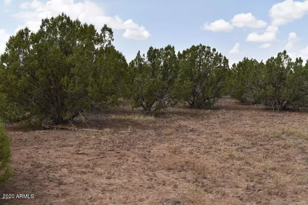 Vernon, AZ 85940,7 COUNTY ROAD N3324 -- #-