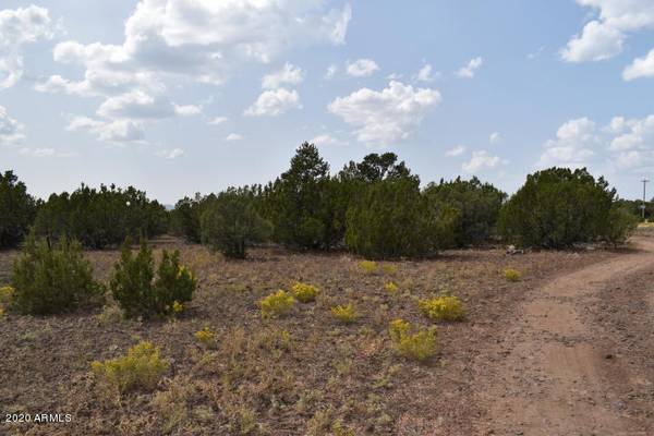 Vernon, AZ 85940,102 Co Rd N3331 -- #-