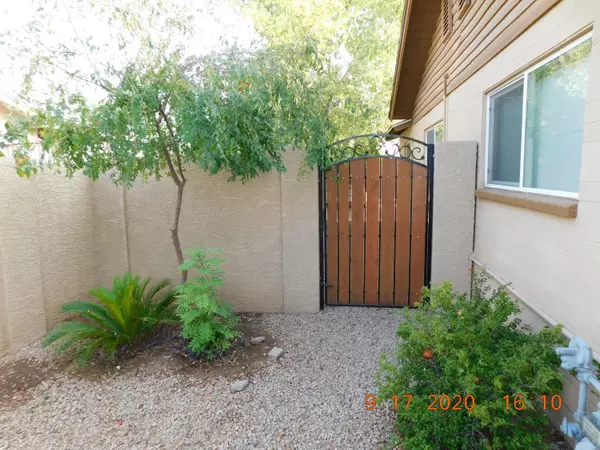 Mesa, AZ 85201,145 W Juniper Street