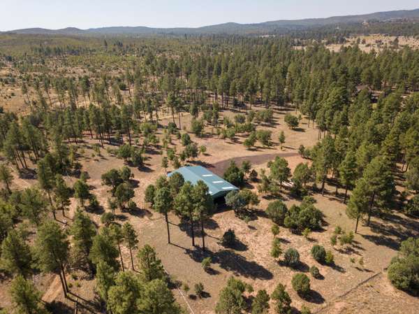 Show Low, AZ 85901,807 Pine Meadow Lane #-