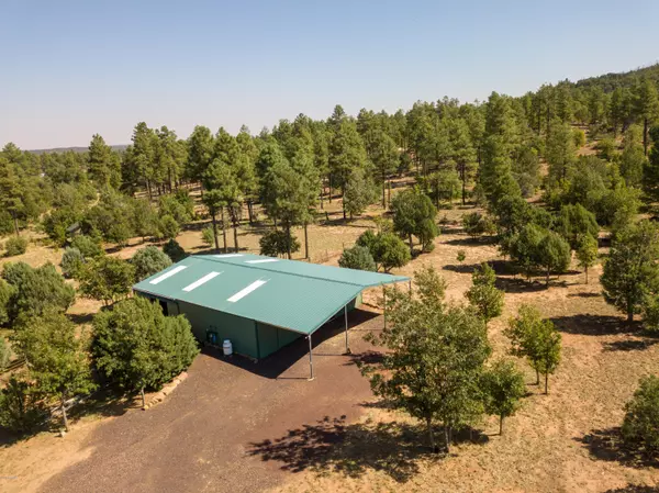 Show Low, AZ 85901,807 Pine Meadow Lane #-