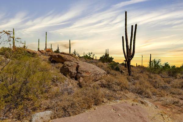 Apache Junction, AZ 85119,3270 N Val Vista Road #-