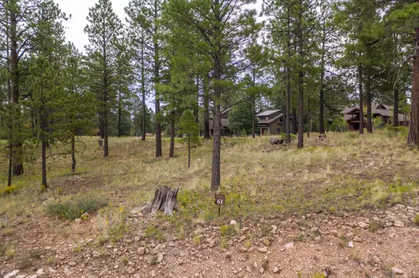 Flagstaff, AZ 86005,3235 S Tehama Circle #61