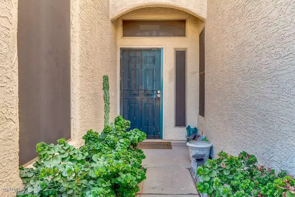 Mesa, AZ 85207,7006 E JENSEN Street #34