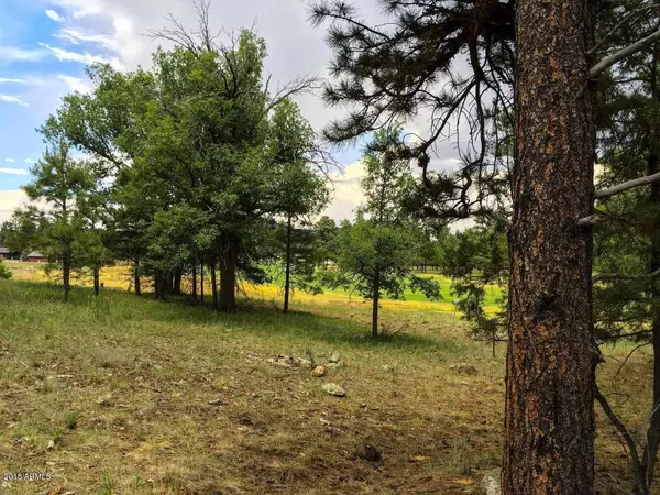 Williams, AZ 86046,911 S Torrey Pines Drive #192