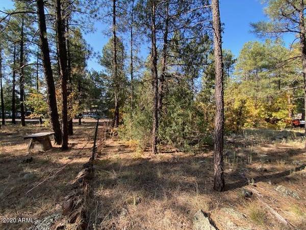 Lakeside, AZ 85929,1036 W Apache Lane #118