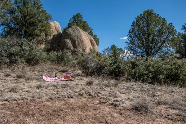 Prescott, AZ 86305,99 N Cougar Canyon-Lot B2a Road #-