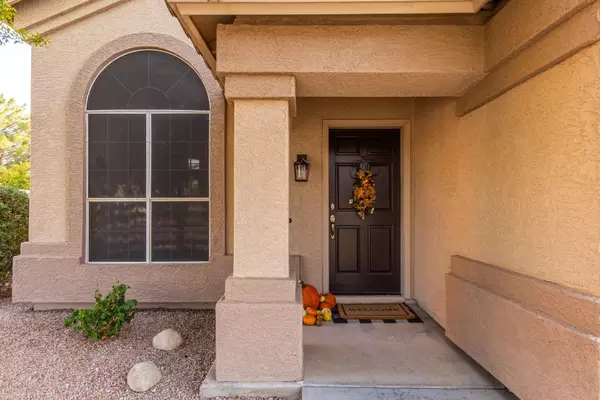 Chandler, AZ 85225,1081 E BAYLOR Lane