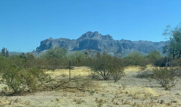 Apache Junction, AZ 85119,1440 N IDAHO Road #2090