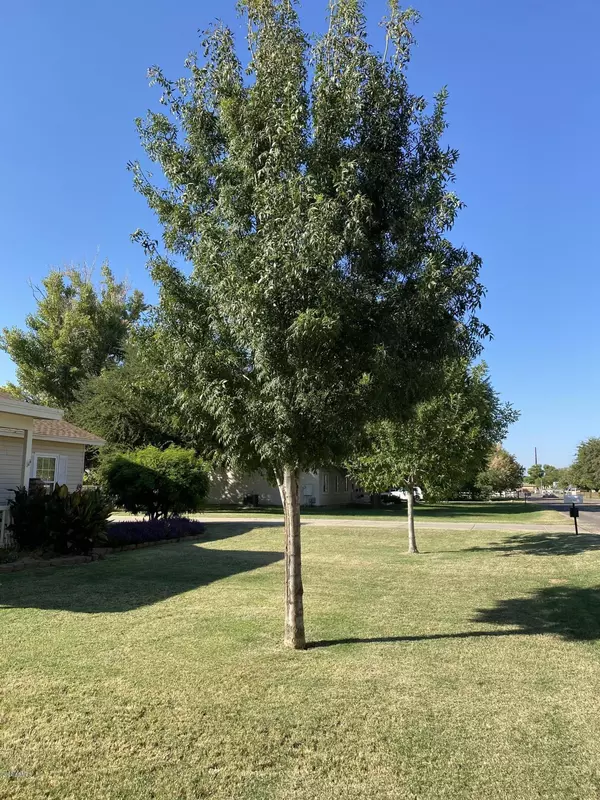 Gilbert, AZ 85297,3352 S 147TH Place S