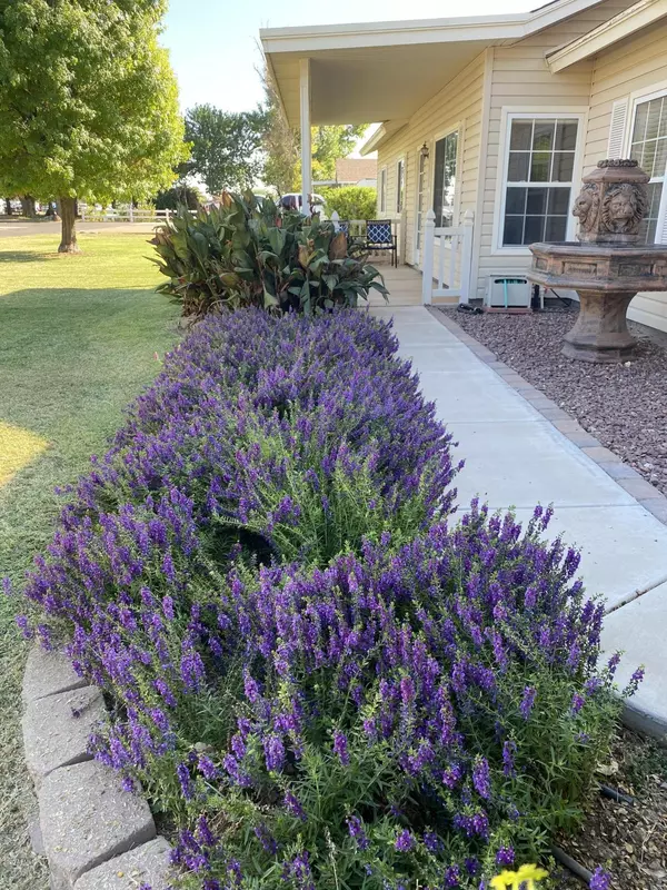 Gilbert, AZ 85297,3352 S 147TH Place S