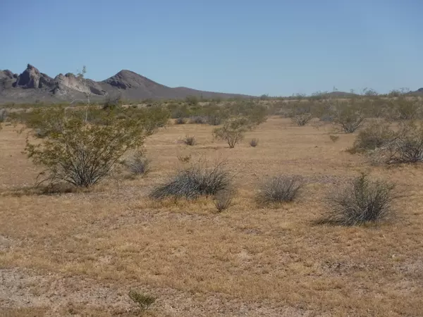 Tonopah, AZ 85354,W XXX - Lot 73 -- #73