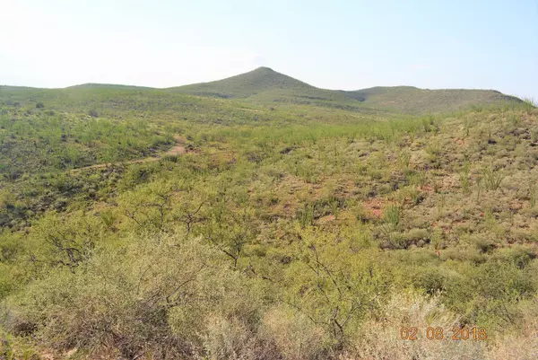 Tombstone, AZ 85638,Yoruba Basin Trail #83