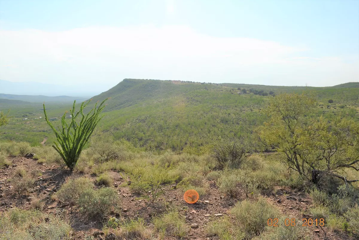 Tombstone, AZ 85638,Yoruba Basin Trail #83