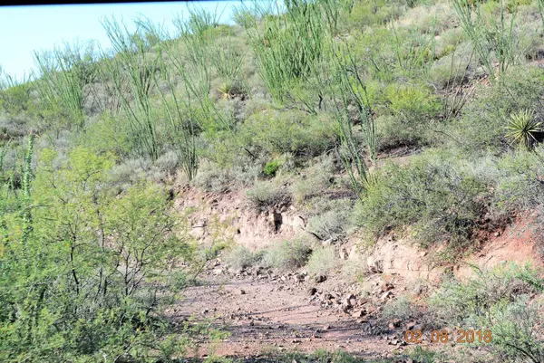 Tombstone, AZ 85638,Yoruba Basin Trail #83