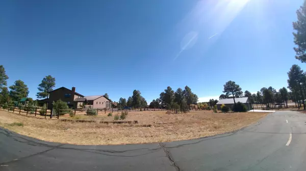 Overgaard, AZ 85933,2270 SPITFIRE Circle #45PER