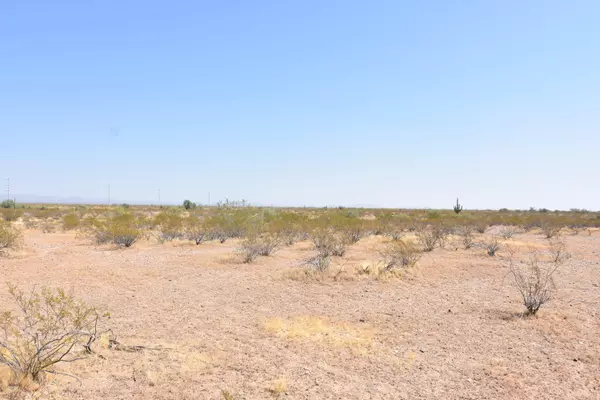 Wittmann, AZ 85361,31 (A-E) N 248th Avenue #-