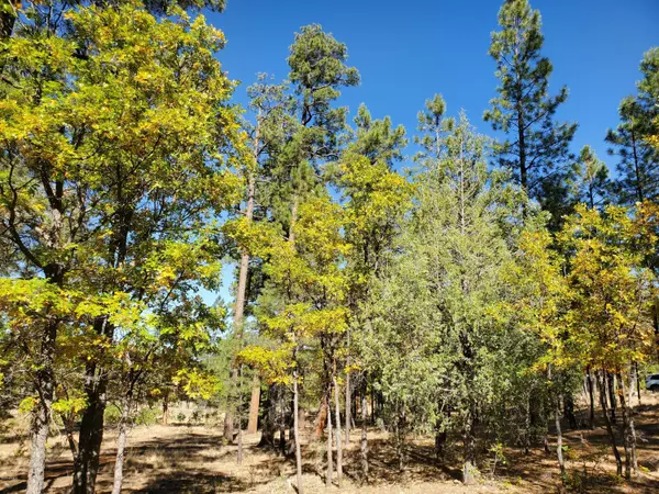 Happy Jack, AZ 86024,2470 San Juan Drive #128