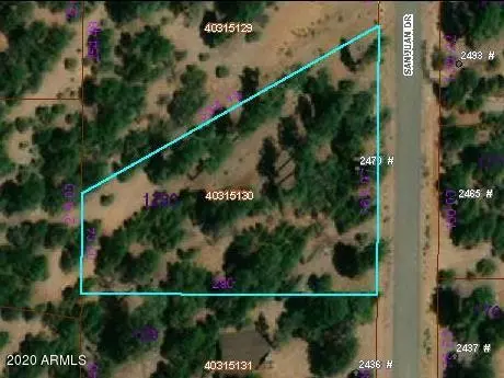 Happy Jack, AZ 86024,2470 San Juan Drive #128