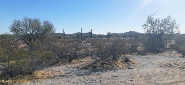 Queen Creek, AZ 85144,3954 W Adobe Dam Road